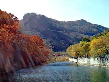 新澳天天开奖资料大全旅游团，恋爱高手小说